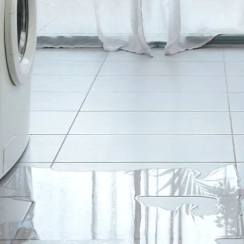 Appliance Leak Cleanup in Garden View, PA
