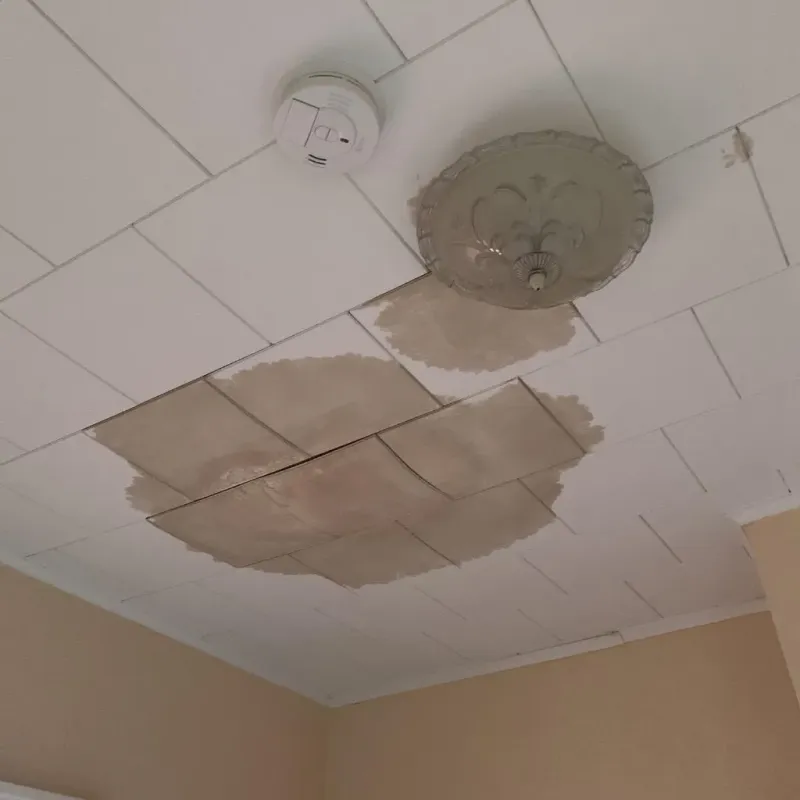 Ceiling Water Damage Repair in Garden View, PA